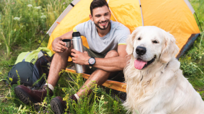 man sits in tent with yellow labrador dog in foreground
